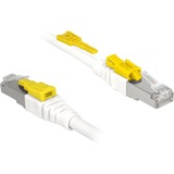 DeLOCK 85333 cable de red Blanco 3 m Cat6a S/FTP (S-STP) blanco, 3 m, Cat6a, S/FTP (S-STP), RJ-45, RJ-45