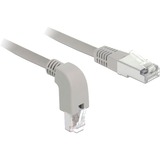 DeLOCK 85873 cable de red Gris 0,5 m Cat6a S/FTP (S-STP) gris, 0,5 m, Cat6a, S/FTP (S-STP), RJ-45, RJ-45