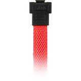 Sharkoon 0.6m, 2xSataIII cable de SATA 0,6 m SATA 7-pin Rojo rojo, 2xSataIII, 0,6 m, SATA III, SATA 7-pin, SATA 7-pin, Macho/Macho, Rojo