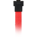 Sharkoon 0.6m, 2xSataIII cable de SATA 0,6 m SATA 7-pin Rojo rojo, 2xSataIII, 0,6 m, SATA III, SATA 7-pin, SATA 7-pin, Macho/Macho, Rojo