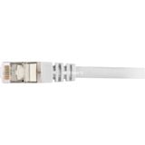 Sharkoon 4044951015115 cable de red Gris 2 m Cat6 S/FTP (S-STP) gris, 2 m, Cat6, S/FTP (S-STP), RJ-45, RJ-45