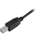 Sharkoon 4044951015245 cable USB 0,5 m USB 2.0 USB A USB B Negro negro, 0,5 m, USB A, USB B, USB 2.0, Macho/Macho, Negro