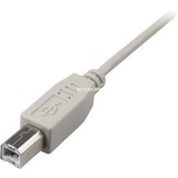 Sharkoon 4044951015290 cable USB 0,5 m USB 2.0 USB A USB B Gris gris, 0,5 m, USB A, USB B, USB 2.0, Macho/Macho, Gris