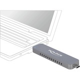 DeLOCK 42616 caja para disco duro externo Caja externa para unidad de estado sólido (SSD) Plata M.2, Caja de unidades plateado, Caja externa para unidad de estado sólido (SSD), M.2, M.2, 10 Gbit/s, Conexión USB, Plata