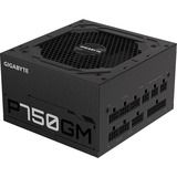 GIGABYTE P750GM unidad de fuente de alimentación 750 W 20+4 pin ATX ATX Negro, Fuente de alimentación de PC negro, 750 W, 100 - 240 V, 50/60 Hz, 12-6 A, Activo, 16 ms