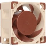 Noctua NF-A4X20 5V PWM sistema de refrigeración para ordenador Carcasa del ordenador Ventilador 4 cm Ventilador, 4 cm, 1100 RPM, 5000 RPM, 14,9 dB, 9,4 m³/h