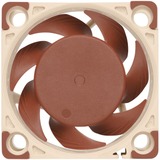 Noctua NF-A4X20 5V PWM sistema de refrigeración para ordenador Carcasa del ordenador Ventilador 4 cm Ventilador, 4 cm, 1100 RPM, 5000 RPM, 14,9 dB, 9,4 m³/h