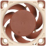 Noctua NF-A4X20 5V PWM sistema de refrigeración para ordenador Carcasa del ordenador Ventilador 4 cm Ventilador, 4 cm, 1100 RPM, 5000 RPM, 14,9 dB, 9,4 m³/h