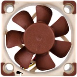 Noctua NF-A4x10 5V Carcasa del ordenador Ventilador 4 cm Beige, Marrón Ventilador, 4 cm, 4500 RPM, 17,9 dB, 8,2 m³/h, Beige, Marrón