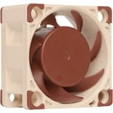 Noctua NF-A4x20 FLX Carcasa del ordenador Ventilador 4 cm Beige, Marrón Ventilador, 4 cm, 3700 RPM, 5000 RPM, 14,9 dB, 9,4 m³/h