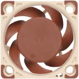 Noctua NF-A4x20 PWM Carcasa del ordenador Ventilador 4 cm Beige, Marrón Ventilador, 4 cm, 1200 RPM, 5000 RPM, 14,9 dB, 9,4 m³/h
