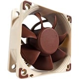 Noctua NF-A6x25 PWM Carcasa del ordenador Ventilador 6 cm Beige, Marrón Ventilador, 6 cm, 550 RPM, 3000 RPM, 19,3 dB, 29,2 m³/h