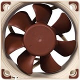 Noctua NF-A6x25 PWM Carcasa del ordenador Ventilador 6 cm Beige, Marrón Ventilador, 6 cm, 550 RPM, 3000 RPM, 19,3 dB, 29,2 m³/h