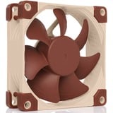 Noctua NF-A8 Carcasa del ordenador Ventilador 8 cm Beige, Marrón Ventilador, 8 cm, 2200 RPM, 17,7 dB, 55,5 m³/h, Beige, Marrón