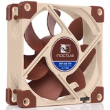 Noctua NF-A8 Carcasa del ordenador Ventilador 8 cm Beige, Marrón Ventilador, 8 cm, 2200 RPM, 17,7 dB, 55,5 m³/h, Beige, Marrón