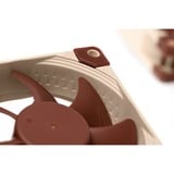 Noctua NF-A8 Carcasa del ordenador Ventilador 8 cm Beige, Marrón Ventilador, 8 cm, 2200 RPM, 17,7 dB, 55,5 m³/h, Beige, Marrón