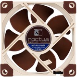 Noctua NF-A8 PWM sistema de refrigeración para ordenador Carcasa del ordenador Ventilador 8 cm Beige, Marrón Ventilador, 8 cm, 450 RPM, 2200 RPM, 17,7 dB, 55,5 m³/h