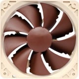 Noctua NF-P12 PWM sistema de refrigeración para ordenador Carcasa del ordenador Ventilador 12 cm Marrón, Blanco 1 pieza(s) marrón, Ventilador, 12 cm, 300 RPM, 1300 RPM, 92,3 m³/h, Marrón, Blanco, Minorista