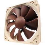 Noctua NF-P12 PWM sistema de refrigeración para ordenador Carcasa del ordenador Ventilador 12 cm Marrón, Blanco 1 pieza(s) marrón, Ventilador, 12 cm, 300 RPM, 1300 RPM, 92,3 m³/h, Marrón, Blanco, Minorista