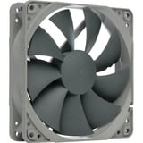 Noctua NF-P12 redux 900 Carcasa del ordenador Ventilador 12 cm Gris Ventilador, 12 cm, 900 RPM, 12,6 dB, 63,4 m³/h, Gris