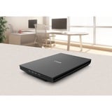 Canon CanoScan LiDE 300 Escáner de cama plana 2400 x 2400 DPI A4 Negro, Escáner plano negro, 215,9 x 297,18 mm, 2400 x 2400 DPI, 48 bit, 48 bit, 16 bit, 8 bit