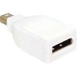 DeLOCK DisplayPort Mini M/FM DP Mini M DP FM Blanco, Adaptador blanco, DP Mini M, DP FM, Blanco