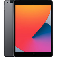 Apple iPad 10,2, Tablet PC gris