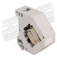 DeLOCK Adaptador de carril DIN con módulo Keystone RJ-45 > Cat.6a LSA gris