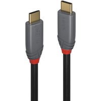 Lindy Cable USB 3.2 tipo C, 5A PD, Anthra Line gris
