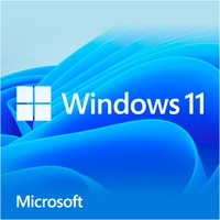 Microsoft Windows 11 Home 1 licencia(s), Software 1 licencia(s), 1 usuario(s), Alemán, Unidad flash USB