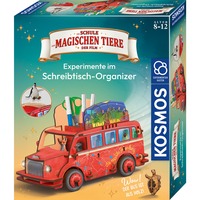 KOSMOS 621384, Caja de experimentos