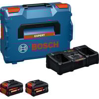 Bosch Set de inicio EXPERT 18V, 2x EXBA 18V-80 + cargador EXAL18V2-320, Conjunto negro
