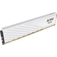 ADATA AX5U6000C3624G-SLABWH, Memoria RAM blanco