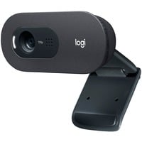 Logitech C505 HD cámara web USB Grafito, Webcam negro, USB, Grafito, 52,2 mm, 101,5 mm, 81 mm, 151,8 g
