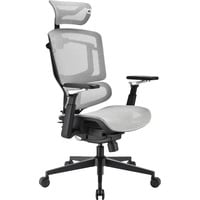 Sharkoon Silla de oficina OfficePal C50M gris
