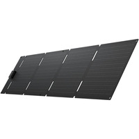 EcoFlow Panel solar portátil 60W (Type-C) negro/Gris