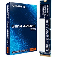 GIGABYTE G440E250G, Unidad de estado sólido
