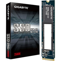 GIGABYTE G3NVMEV2256G, Unidad de estado sólido 