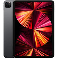 Apple iPad Pro 11" Cellular (2 TB) Reacondicionado, Tablet PC gris