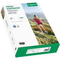 Inapa 2100005106, Papel