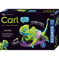 KOSMOS 621391, Caja de experimentos