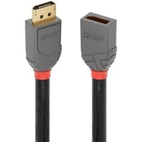 Lindy 36496, Cable negro