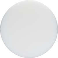 Bosch 1608613013 Disco pulidor, Rueda de pulido Disco pulidor, 16 cm, Blanco