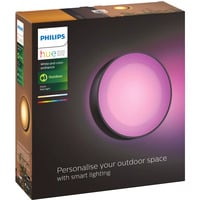 Philips Hue Hue White & Color Ambiance Daylo lámpara de pared, Luz de LED negro