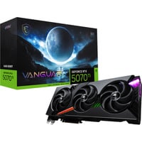 MSI V531-069R, Tarjeta gráfica