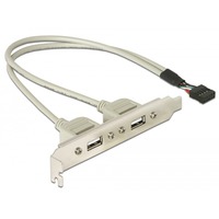 DeLOCK Slotbracket 1x internal USB 5pin > 2x USB2.0 external cable USB 0,3 m USB A Blanco, Tapa de ranura gris, 0,3 m, USB A, Blanco