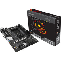 SAPPHIRE A520M-E, Placa base 