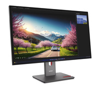 Lenovo ThinkVision P32UD-40, Monitor LED negro