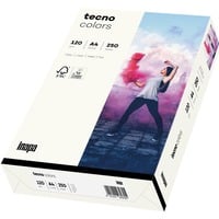 Inapa 2100011360, Papel