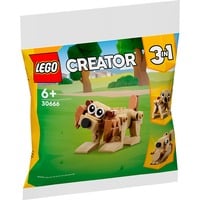 LEGO 30666, Juegos de construcción